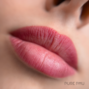 Ombre Lips Perfection Class
