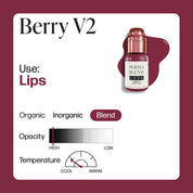 Perma Blend Luxe PMU Ink - Berry v2 15ml